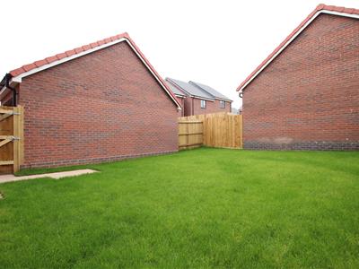Picture 16